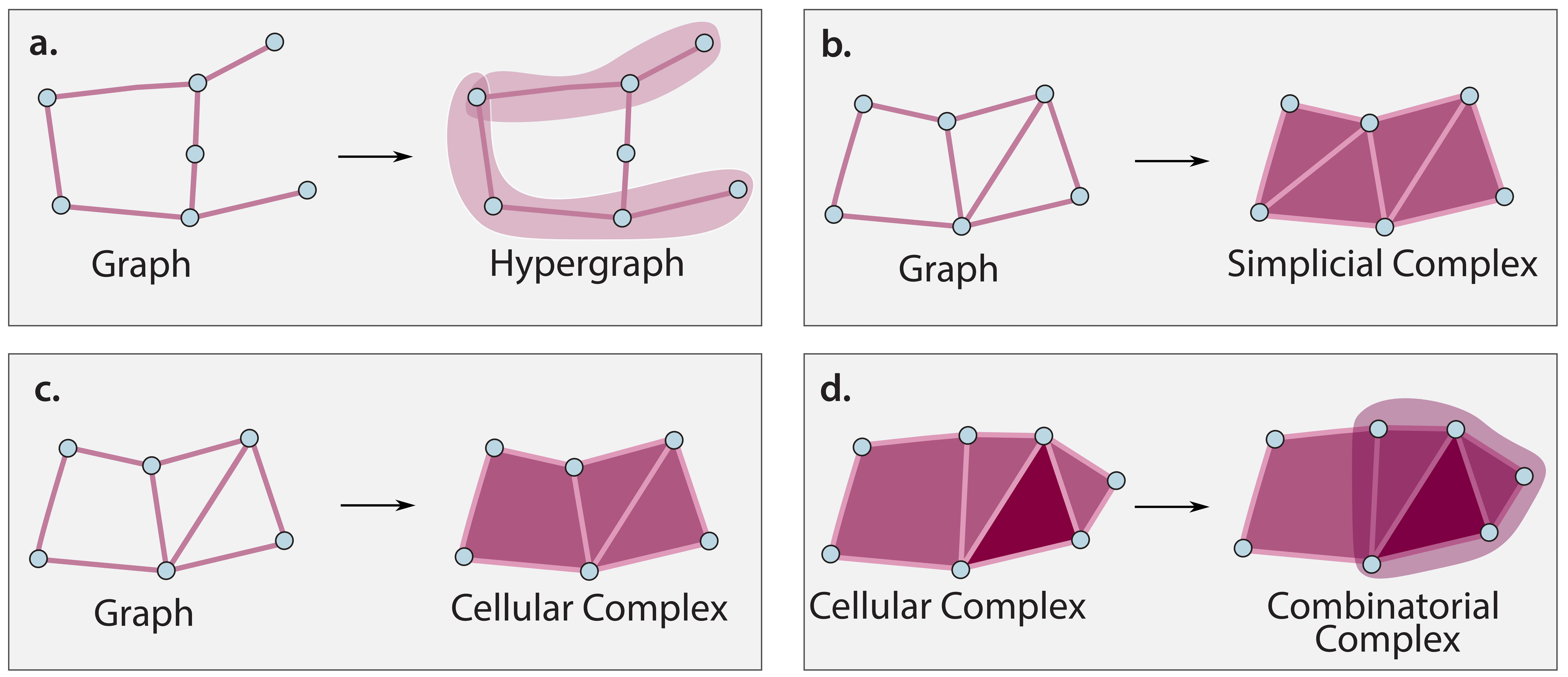 ICML Challenge 2024 — TopoX documentation